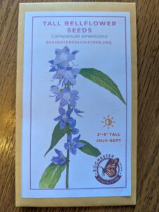 Tall bellflower seed packet