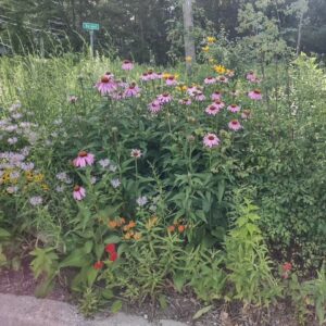 Fred A. Erb Arboretum garden