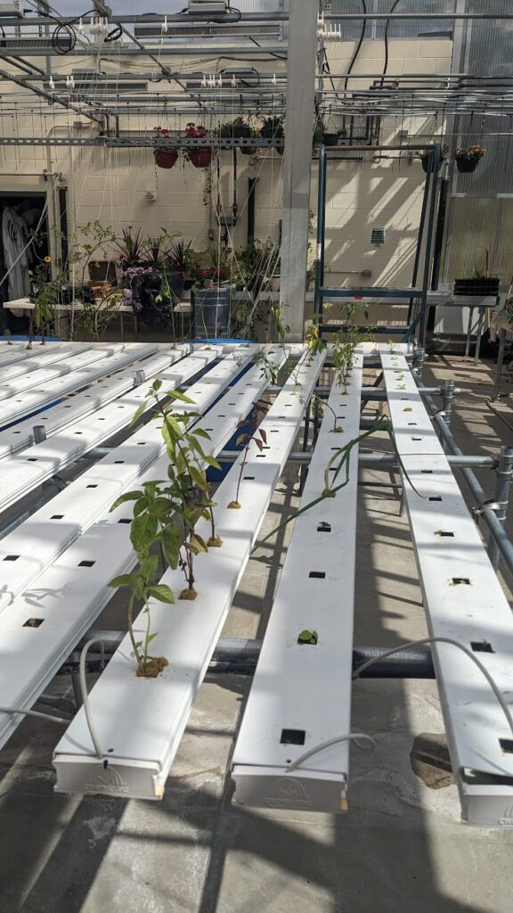 Notre Dame Greenhouse